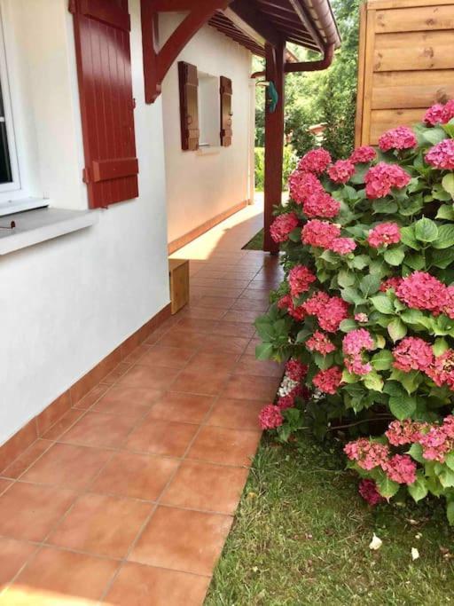 1km Plage, Agreable Maison 6 Pers Classee 3* * Hendaye